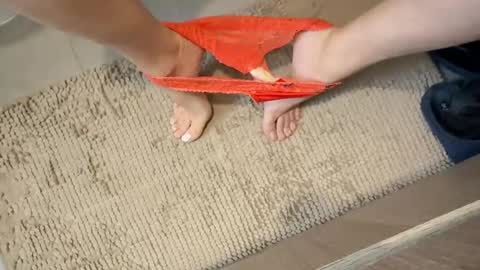 iopensusa online show from 12/27/24, 02:22