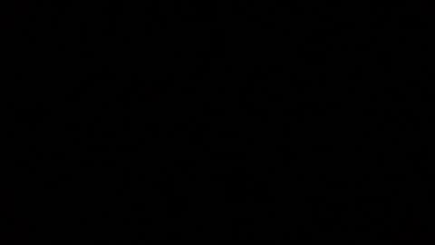 iridisit online show from 01/12/26, 04:07