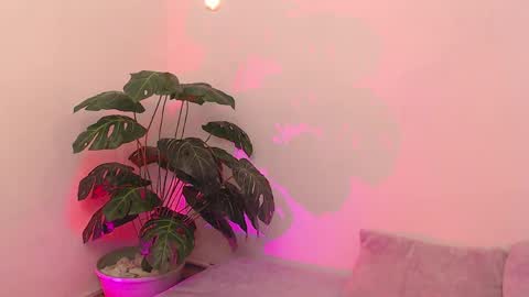 Iirs online show from 04/18/26, 09:04