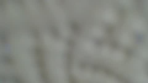 Irishdude2483 online show from 01/15/25, 06:33