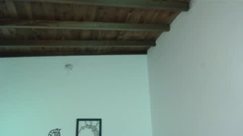 Iris online show from 01/16/25, 06:06