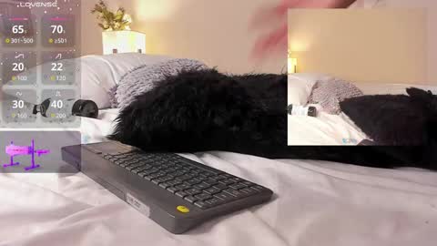 oIssaJonneso online show from 02/19/25, 04:44