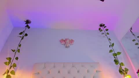 Snapshot of isabella_flowerss chatting on 01/08/25, 03:19 online show from 01/08/25, 03:19