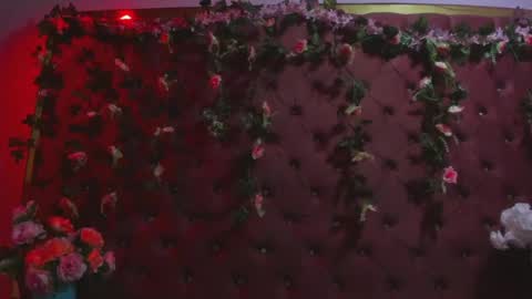 Isabella online show from 06/14/26, 03:52