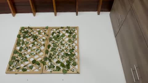 Isabella online show from 02/13/25, 10:22