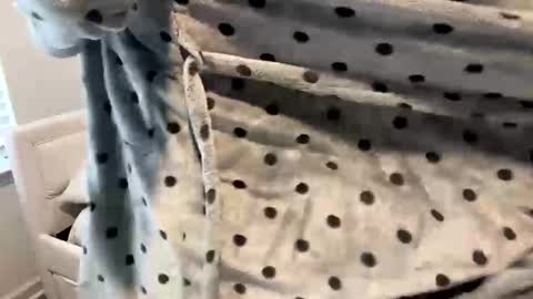 isabellenoela online show from 01/12/25, 04:18