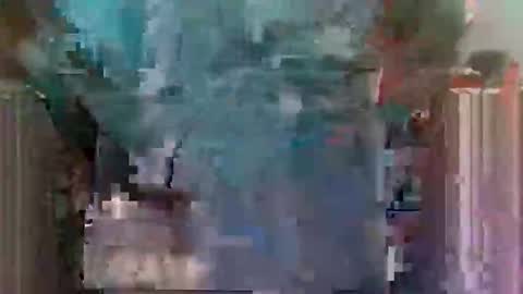 Horny boy online show from 05/28/26, 10:56