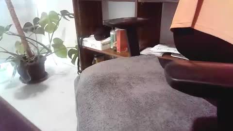 islandforfun online show from 11/20/25, 07:02