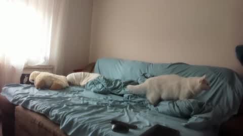 Issabelle online show from 03/04/25, 06:26