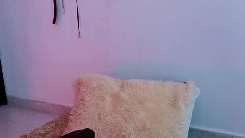 Issafoxx online show from 04/13/26, 12:10