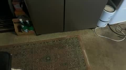 Snapshot of italiano9in chatting on 11/03/25, 03:24 Tony online show from 11/03/25, 03:24