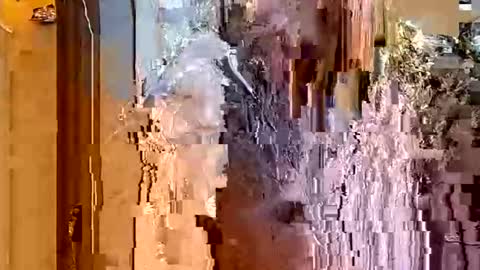 ItsFoxie online show from 01/18/26, 04:49