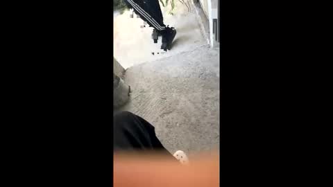 Snapshot of itsjayyourbae chatting on 02/18/26, 11:11 itsjayyourbae online show from 02/18/26, 11:11