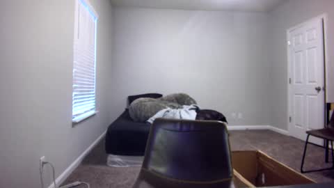 TARZAN online show from 12/13/24, 06:49