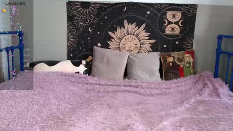 Sasha online show from 02/12/26, 09:48