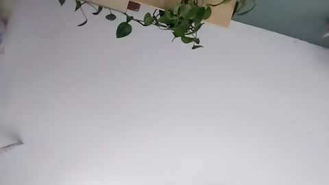 Vanchi online show from 03/07/26, 07:16