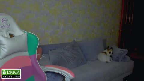 iveran online show from 09/09/25, 08:52