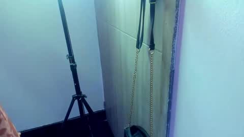 Snapshot of ivy__taylorr chatting on 02/04/25, 11:27 Diana Rojas online show from 02/04/25, 11:27