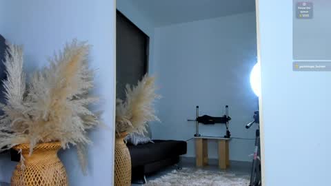 Snapshot of ivy_li chatting on 01/14/25, 03:11 Daniela online show from 01/14/25, 03:11