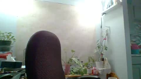 Snapshot of ivyjane3522 chatting on 05/07/26, 02:00 ivyjane3522 online show from 05/07/26, 02:00