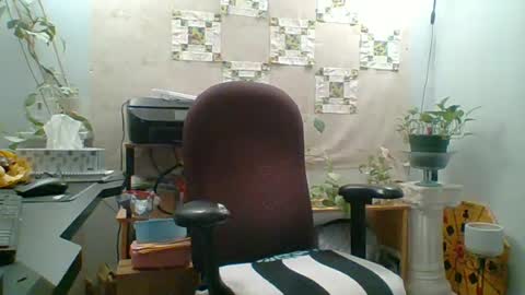 Snapshot of ivyjane3522 chatting on 06/17/26, 12:24 ivyjane3522 online show from 06/17/26, 12:24