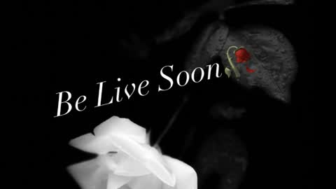 Ivy Rosie online show from 03/31/26, 09:48