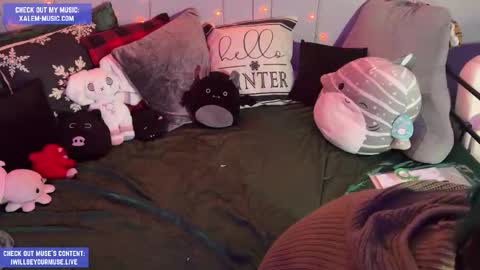 Muse hethey online show from 11/27/25, 12:35