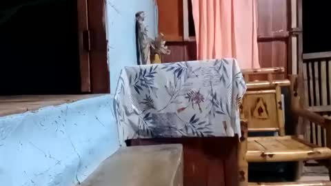 Snapshot of j828413 chatting on 10/27/25, 11:25 j828413 online show from 10/27/25, 11:25