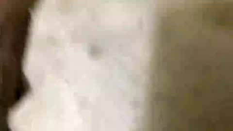 Snapshot of jaaltar chatting on 01/08/26, 07:05 Jaaltar online show from 01/08/26, 07:05