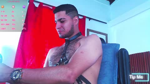   online show from 12/08/24, 03:13