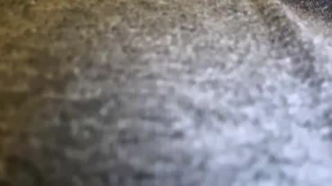 jackjackerman online show from 04/15/26, 08:09