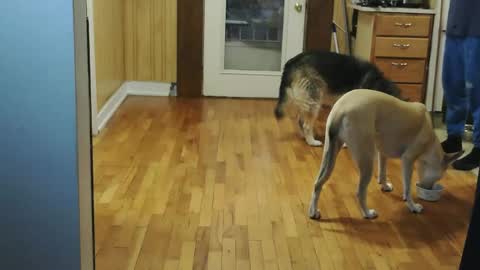 Snapshot of jacksonmale1974 chatting on 01/10/26, 02:08 funtimes49203 online show from 01/10/26, 02:08