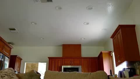 jacktome369 online show from 11/11/25, 07:58