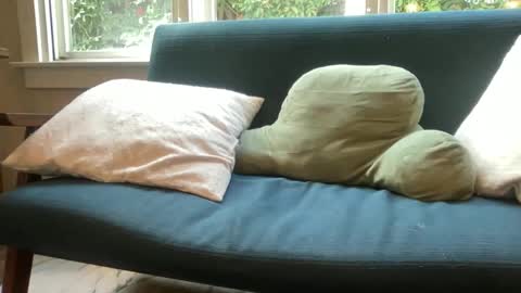 jack online show from 12/14/25, 06:34