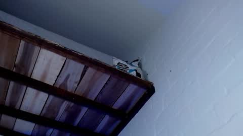 Michael Caicedo online show from 03/12/25, 07:57