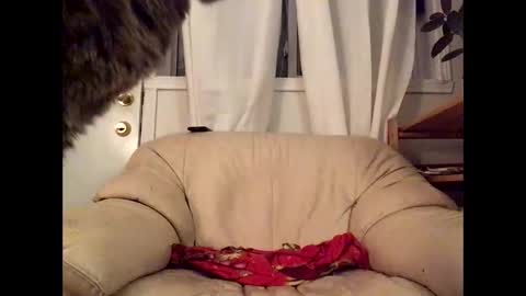 Jacob online show from 03/17/26, 12:37