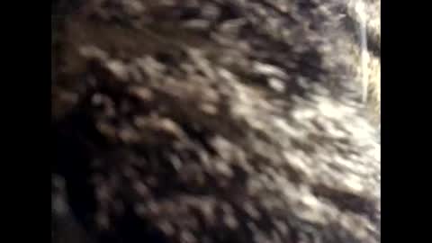 Jacob online show from 03/24/26, 12:43