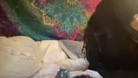 Snapshot of jadexbabe chatting on 01/27/25, 11:54 Jadexbabe online show from 01/27/25, 11:54