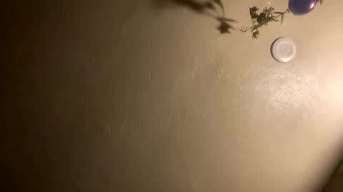 Snapshot of jadon2bnu2nt chatting on 01/07/26, 02:03 Jason online show from 01/07/26, 02:03