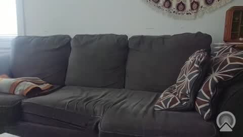 Snapshot of jakefoundglory chatting on 11/20/25, 06:40 Jake online show from 11/20/25, 06:40