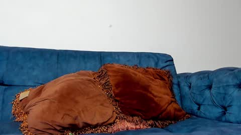 JakeSkye online show from 12/13/24, 02:32