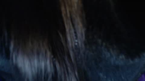 Snapshot of jalea_real_69 chatting on 07/19/26, 06:50 jalea_real_69 online show from 07/19/26, 06:50