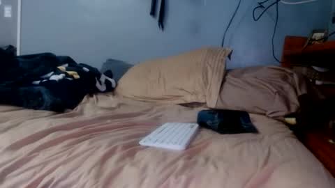 what you in too online show from 04/07/26, 06:41