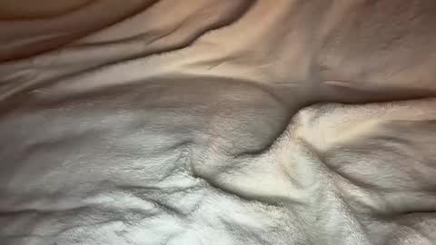 Snapshot of jamesdean0101 chatting on 01/14/26, 10:47 jamesdean0101 online show from 01/14/26, 10:47