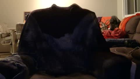 Snapshot of jameswolf777 chatting on 11/12/25, 08:48 jameswolf777 online show from 11/12/25, 08:48