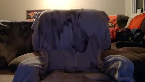 Snapshot of jameswolf777 chatting on 12/16/25, 02:44 jameswolf777 online show from 12/16/25, 02:44