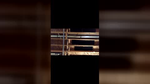 jamie19905 online show from 03/04/26, 03:45