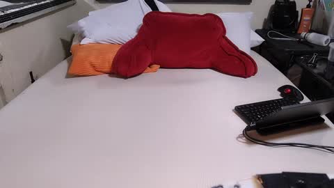 Snapshot of jamwarnerone chatting on 12/12/24, 03:37 Bootyshows online show from 12/12/24, 03:37