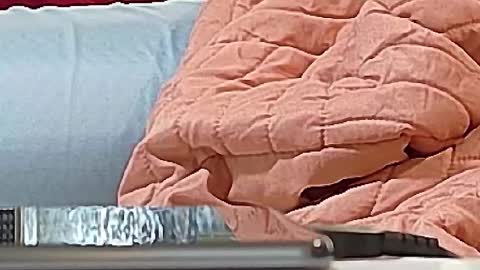 Snapshot of jamwarnerone chatting on 09/15/25, 12:38 Bootyshows online show from 09/15/25, 12:38