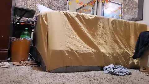 Snapshot of jamwarnerone chatting on 12/02/25, 12:43 Bootyshows online show from 12/02/25, 12:43